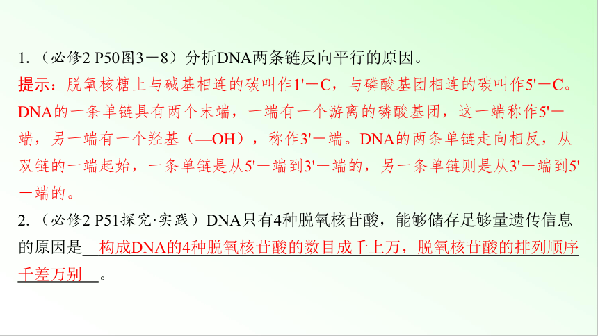 新教材生物一轮复习课件：第6单元 遗传的物质基础 第2讲　DNA分子的结构和复制(共75张PPT)