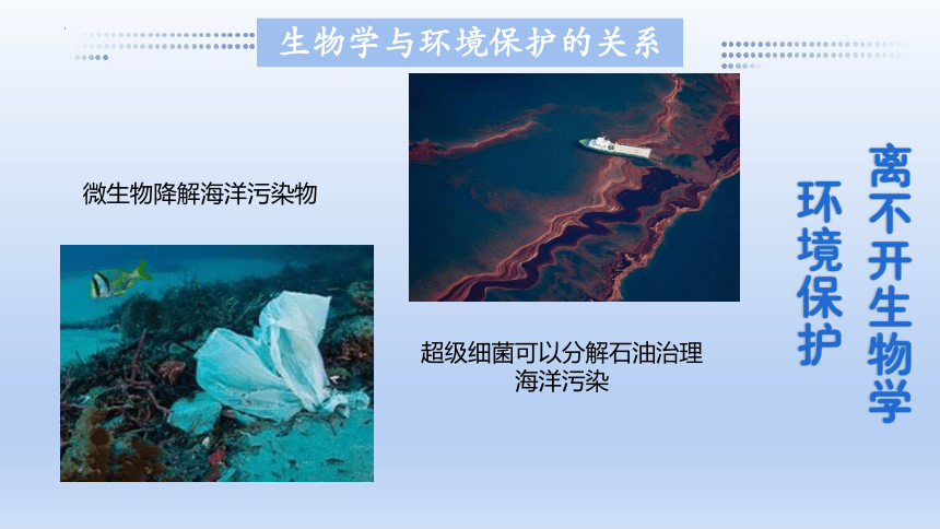 1.1.3我们身边的生物学课件(共35张PPT)2023-2024学年七年级生物上册