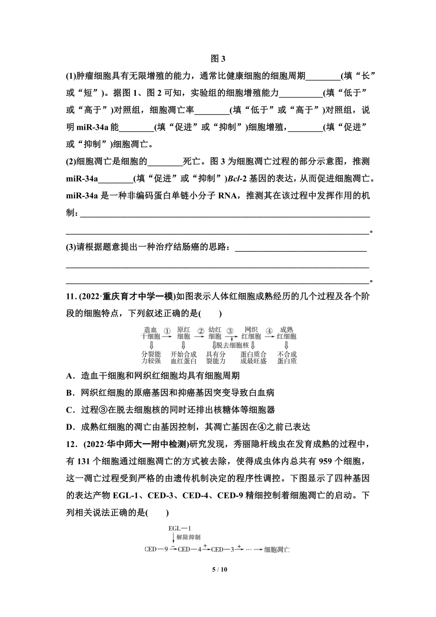 人教版（2019)高中生物一轮复习检测题：专题13　细胞的分化、衰老和死亡（含解析）