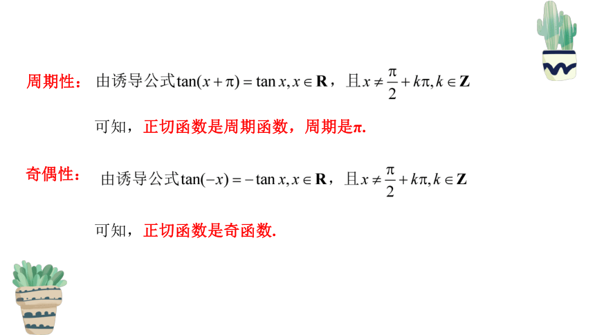 5.4.3 正切函数的性质与图像 课件（共26张PPT）