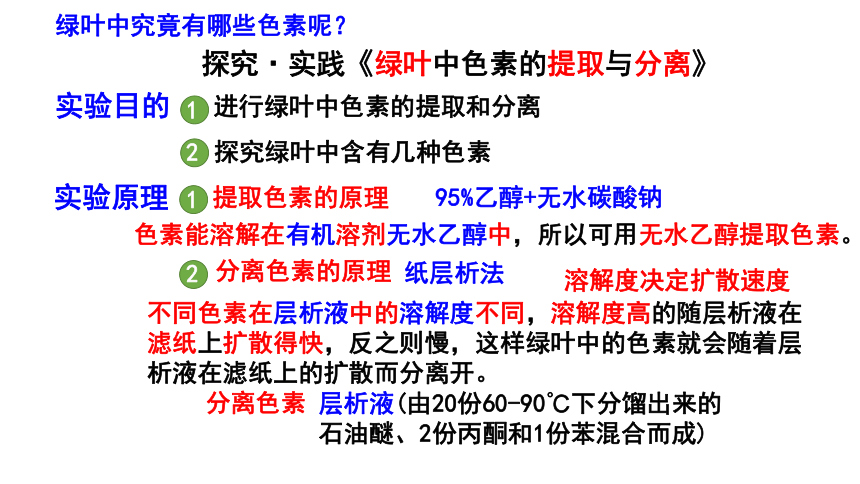 生物人教版（2019）必修1 5.4光合作用与能量转化（共50张ppt）