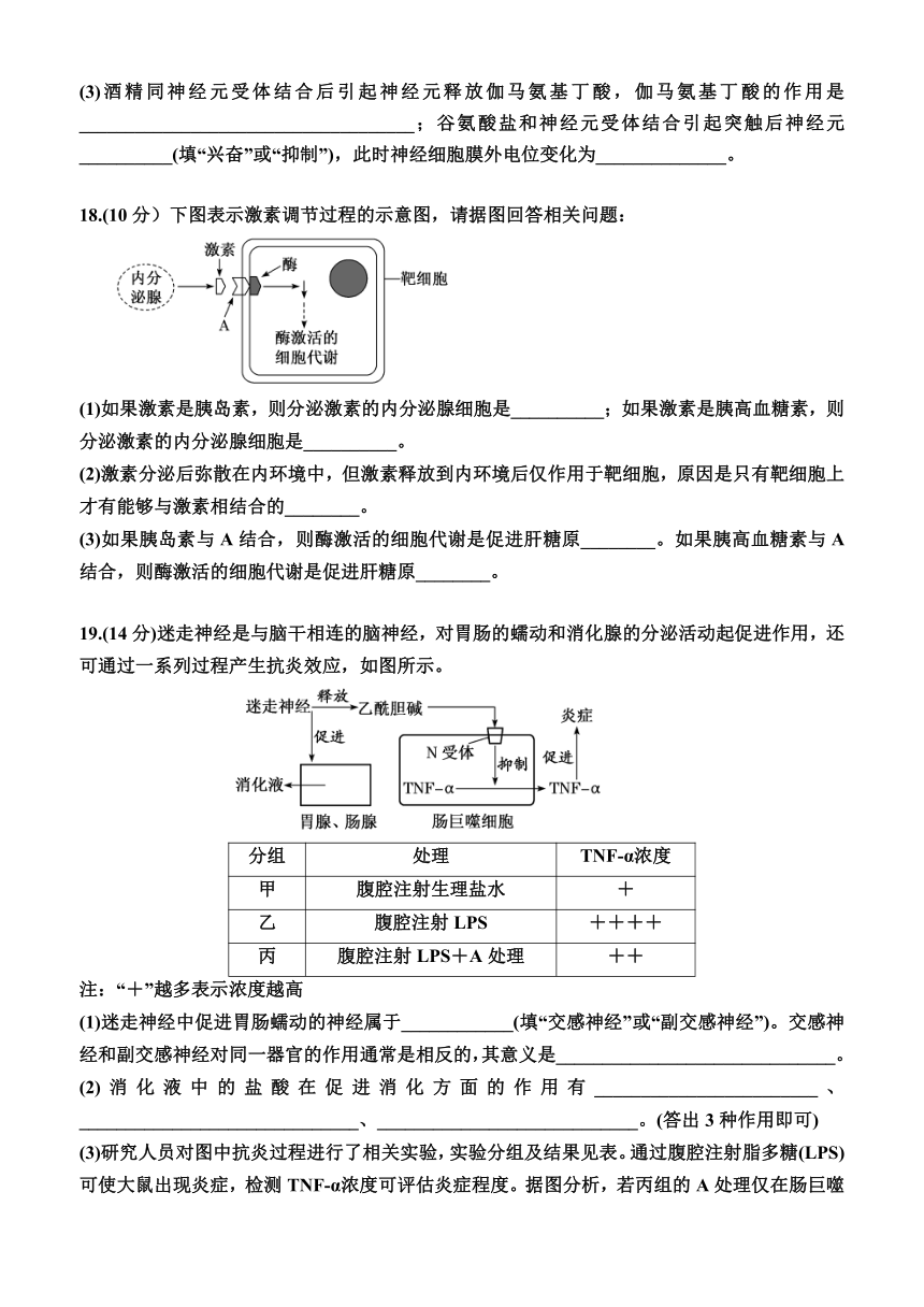 稳态与调节综合检测（有解析）2023-2024学年高二上学期生物人教版选择性必修1