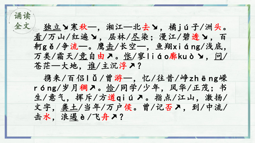 第一单元1《沁园春长沙》课件(共48张PPT)2023-2024学年统编版高中语文必修上册