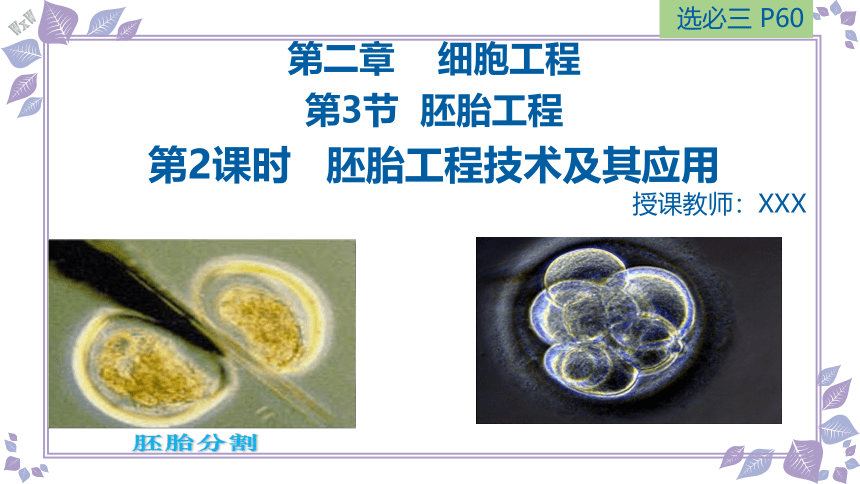 2.3.2胚胎工程技术及其应用课件(共34张PPT)-第2课时  人教版（2019）选择性必修3