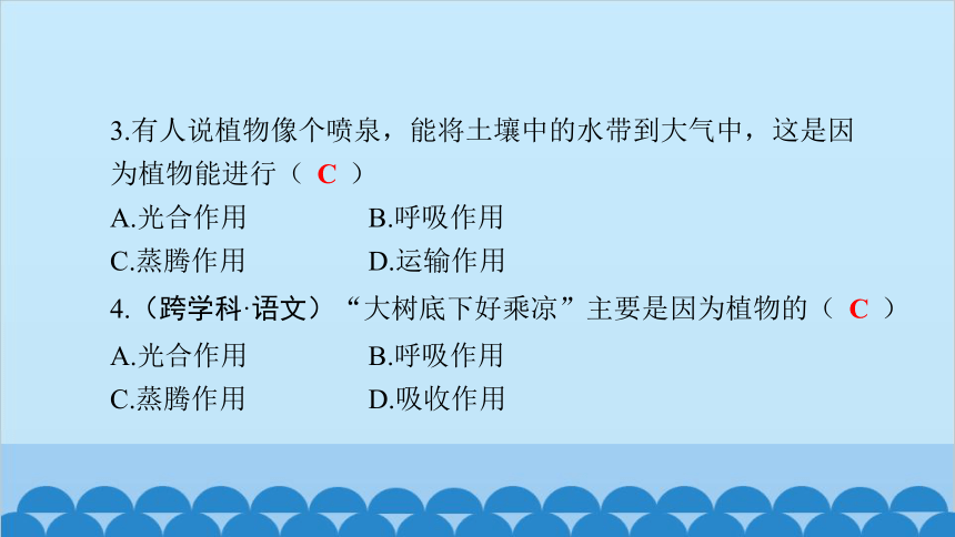 3.5.4蒸腾作用课件(共25张PPT)北师大版生物七年级上册