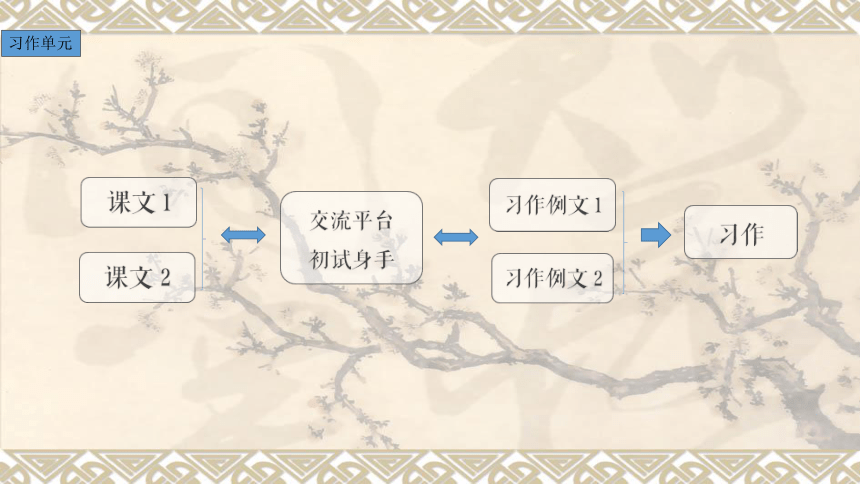 部编六年级上册语文 第五单元单元解读 课件(共15张PPT)