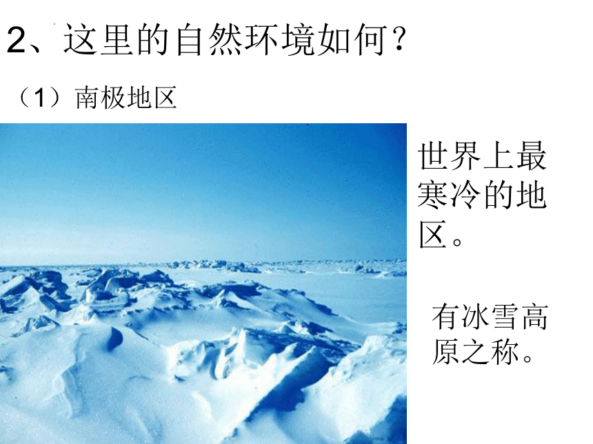 第十章极地地区课件(共18张PPT)2023-2024学年七年级地理下学期人教版