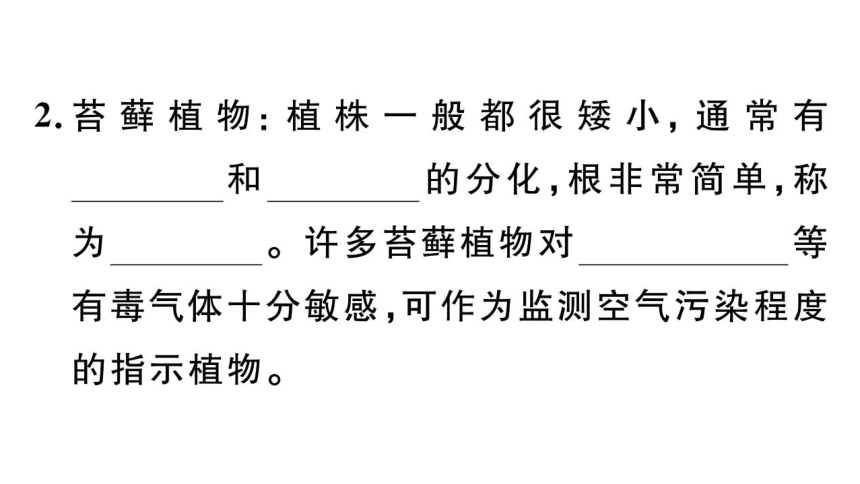 七年级上册期末复习专项五  植物类群和被子植物的一生课件(共42张PPT)