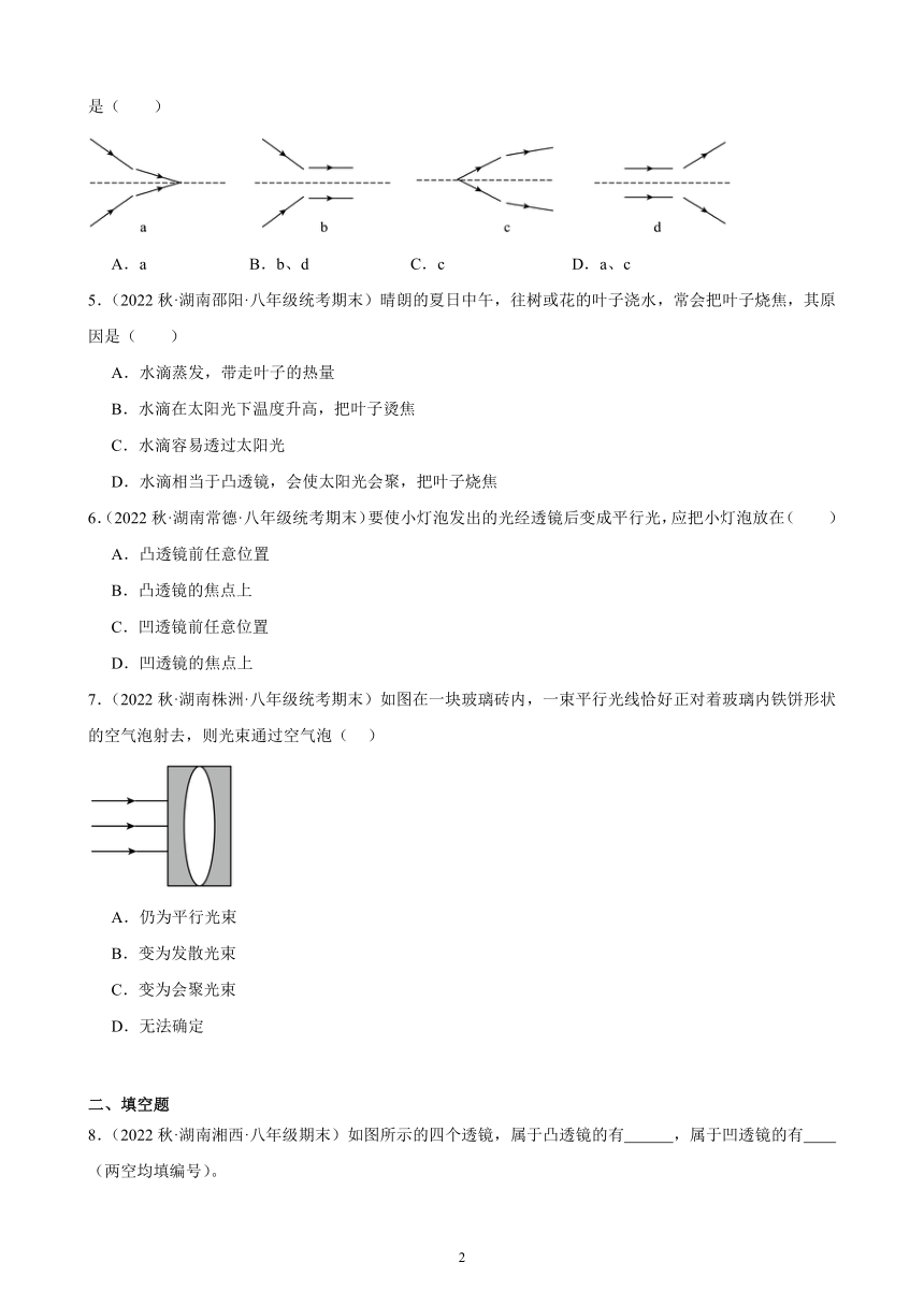 5.1 透镜 同步练习 （含答案）2022－2023学年上学期湖南省各地八年级物理期末试题选编