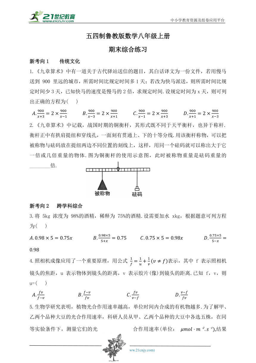 五四制鲁教版八年级上册期末综合练习数学试题（含解析）