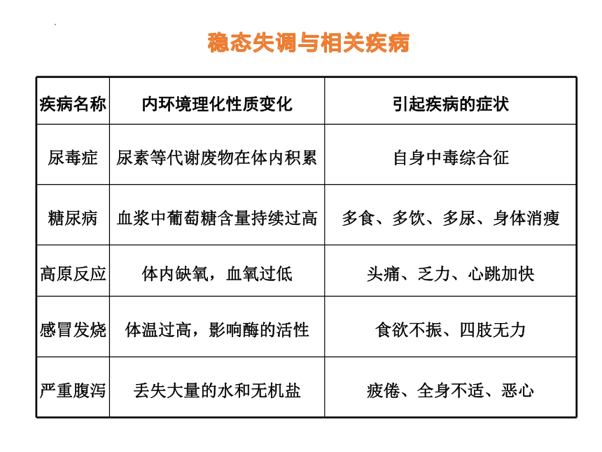 1.2 内环境的稳态保障正常生命活动（27张）-高二生物课件（浙科版2019选择性必修1）