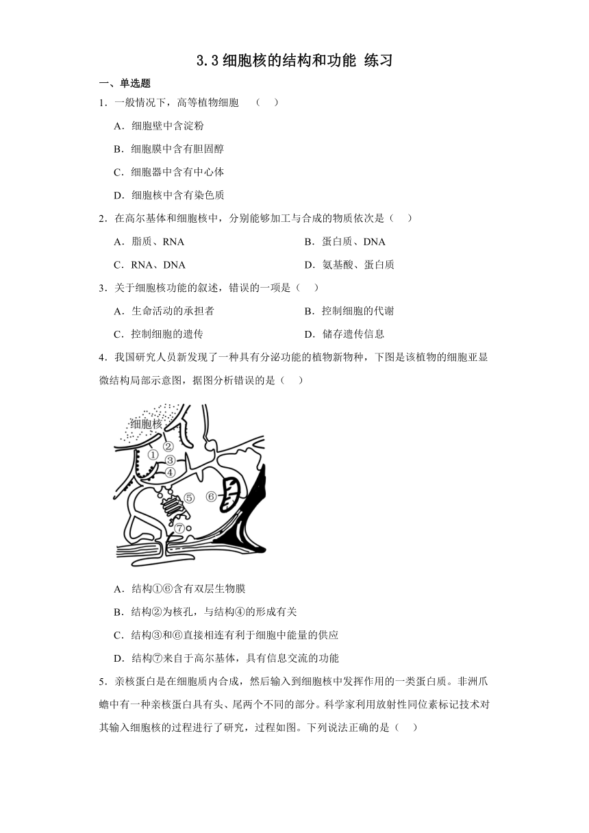 3.3细胞核的结构和功能 练习  （有解析）2023-2024学年高中生物学人教版（2019）必修1