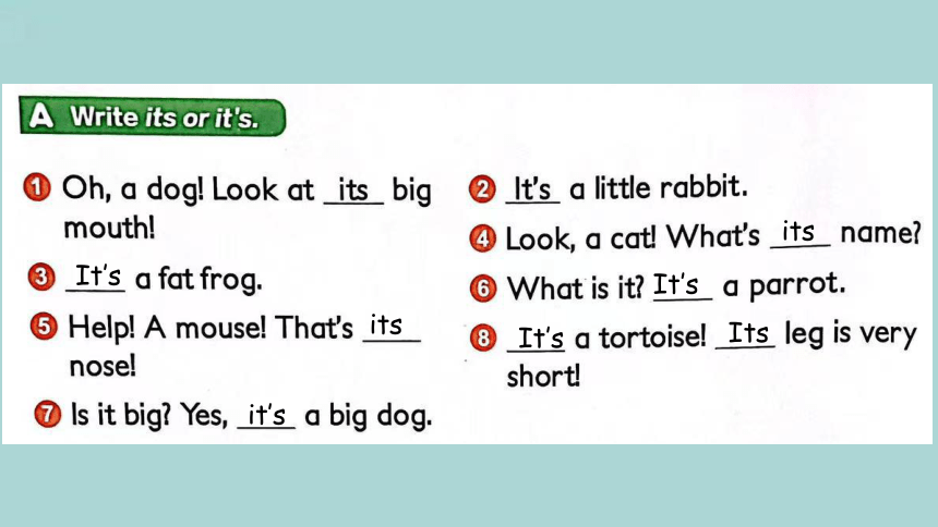 Unit 13 This is his rabbit.Lesson 3  课件(共15张PPT)