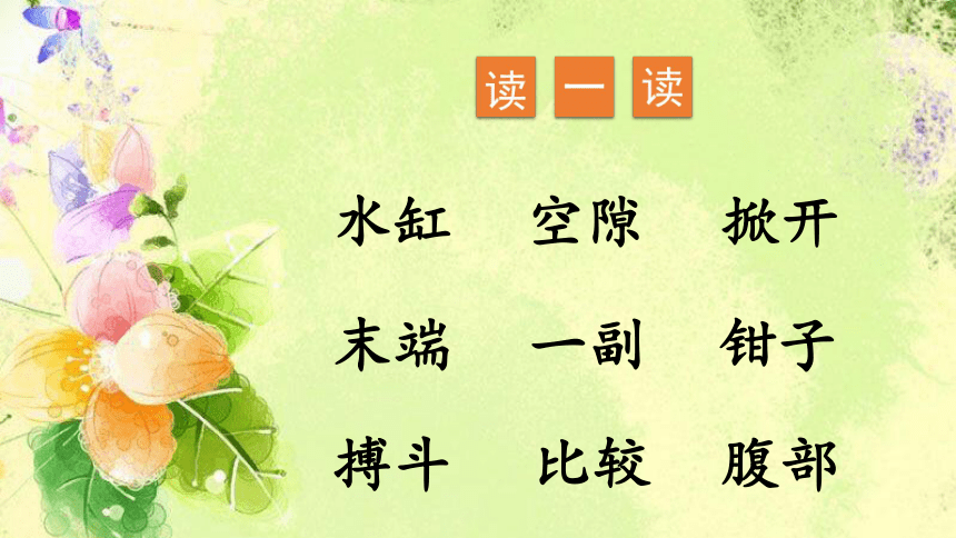 15.《小虾》课件(共24张PPT)