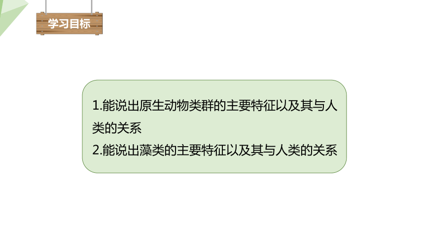 7.22.2 原生生物的主要类群 课件(共18张PPT) 2023-2024学年初中生物北师版八年级下册