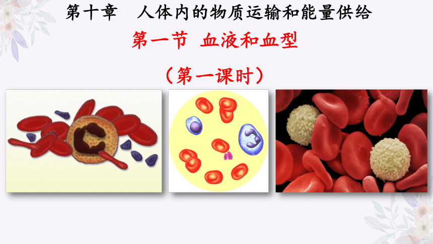 4.10.1血液和血型（第一课时）课件(共32张PPT)苏教版七年级生物下册