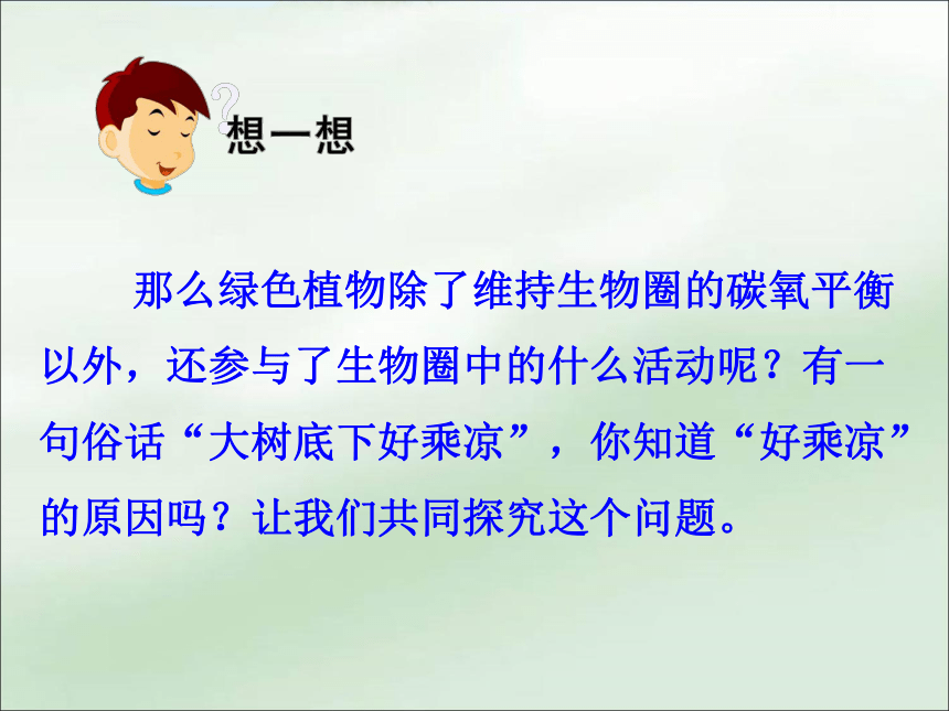 3.7.2 绿色植物与生物圈的物质循环课件（共26张PPT）苏教版七年级生物上册