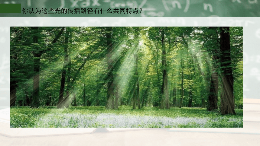 苏教版科学五年级上册1.2光的传播（教学课件）(共13张PPT+视频)