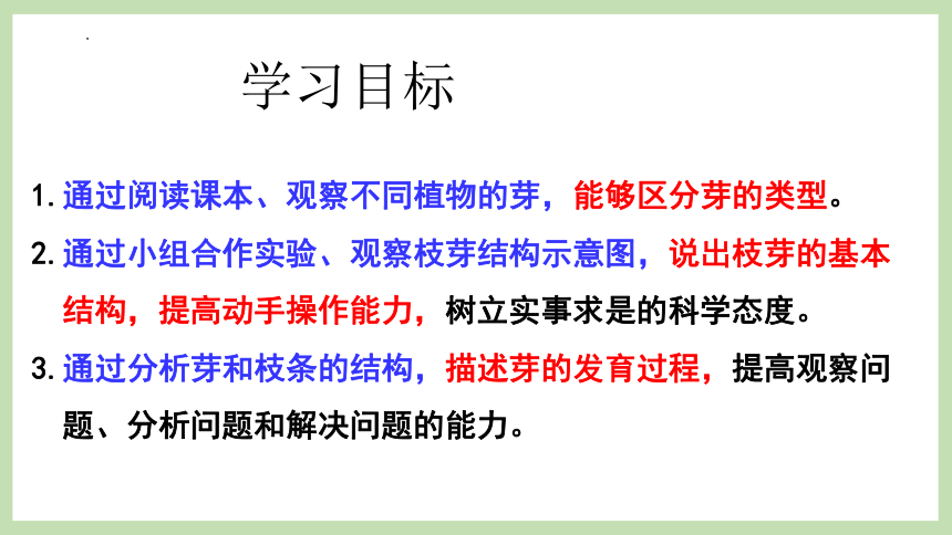 4.1.6  芽的类型和发育  课件(共40张PPT)2023-2024学年济南版生物八年级上册