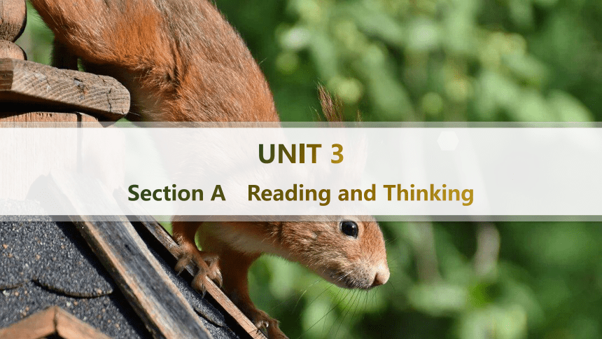 人教版（2019）选择性必修第三册UNIT 3 Environmental Protection　Reading and Thinking课件(共43张PPT)