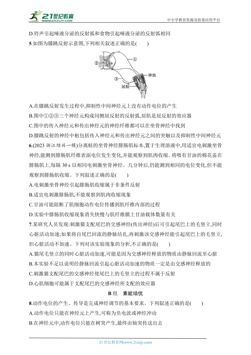 2025浙科版新教材生物学高考第一轮基础练--作业36　神经系统的结构与调节（含解析）