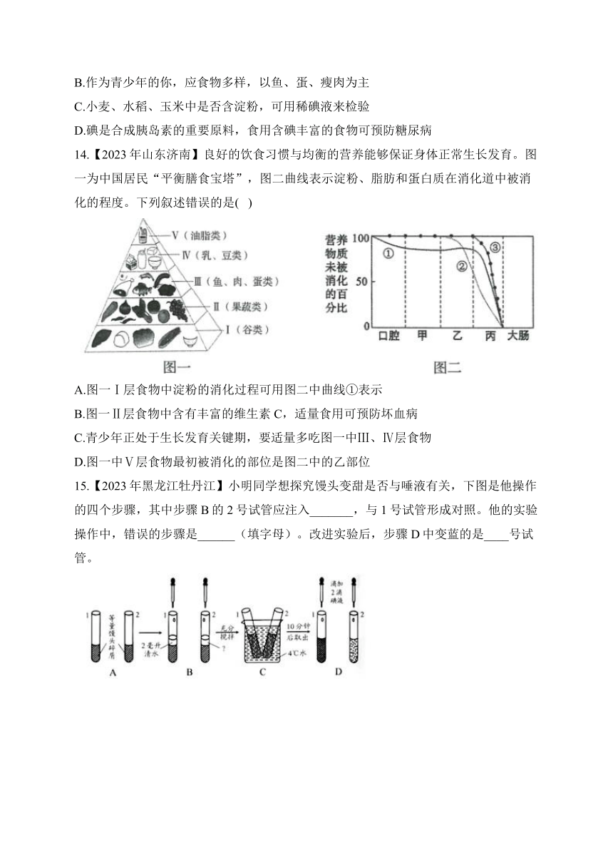 （5）人体的营养——2023年中考生物真题专项汇编（含答案）