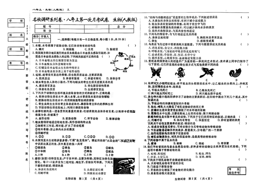 吉林省松原市前郭尔罗斯蒙古族自治县2023-2024学年八年级上学期9月月考生物（PDF版，含答案）
