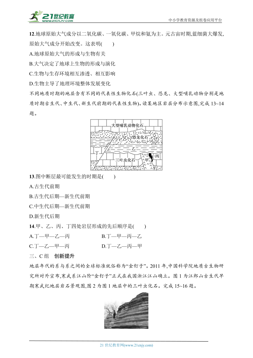 2024浙江专版新教材地理高考第一轮基础练--考点分层练8　地球的演化（含解析）