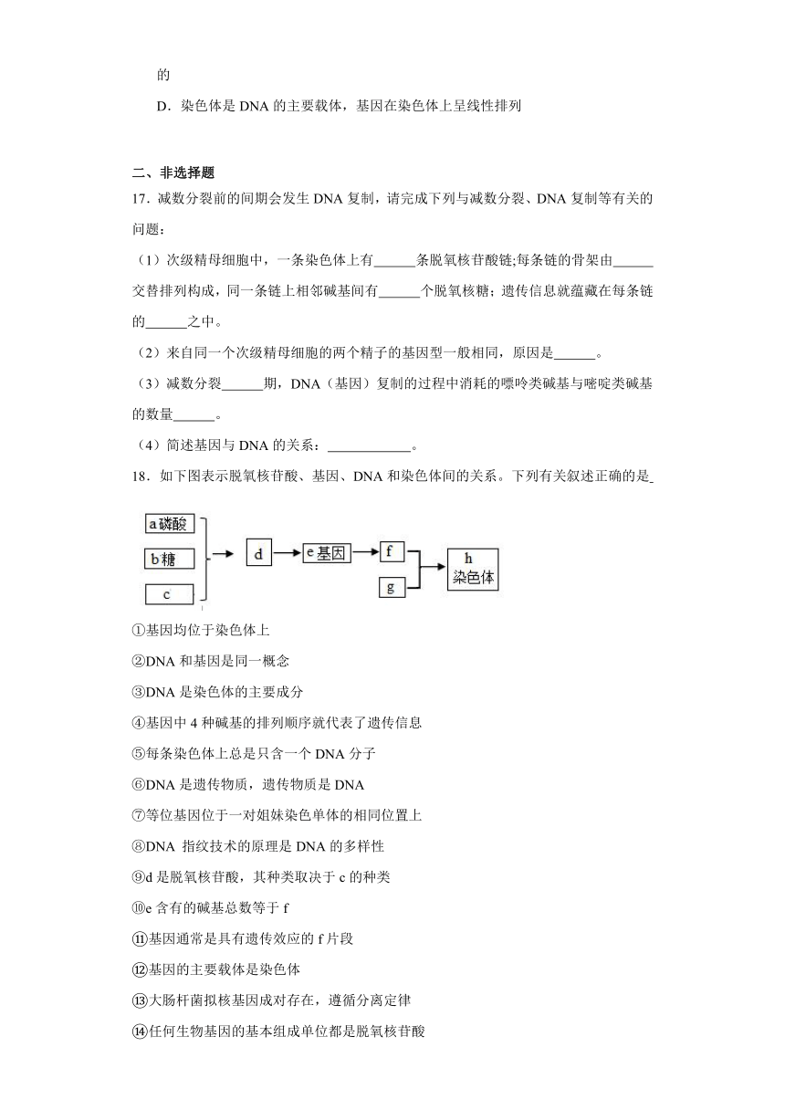 3.4基因通常是有遗传效应的DNA片段 练习（含解析）