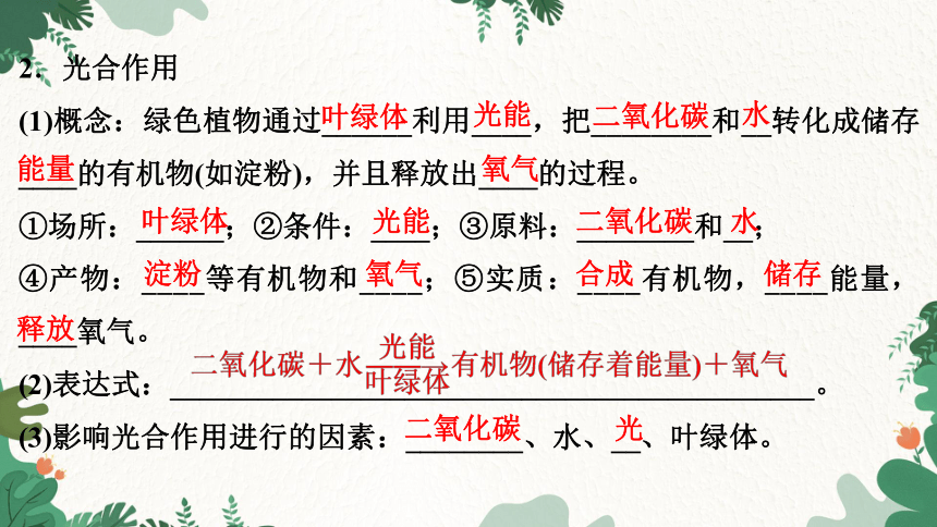 3.5.1 光合作用吸收二氧化碳释放氧气课件(共29张PPT)人教版生物七年级上册