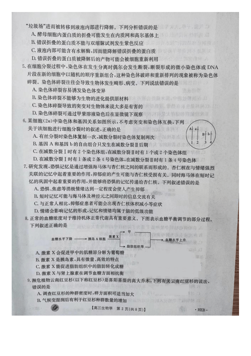 河北省邢台市五岳联盟2023-2024学年高三上学期开学生物试题（扫描版无答案）