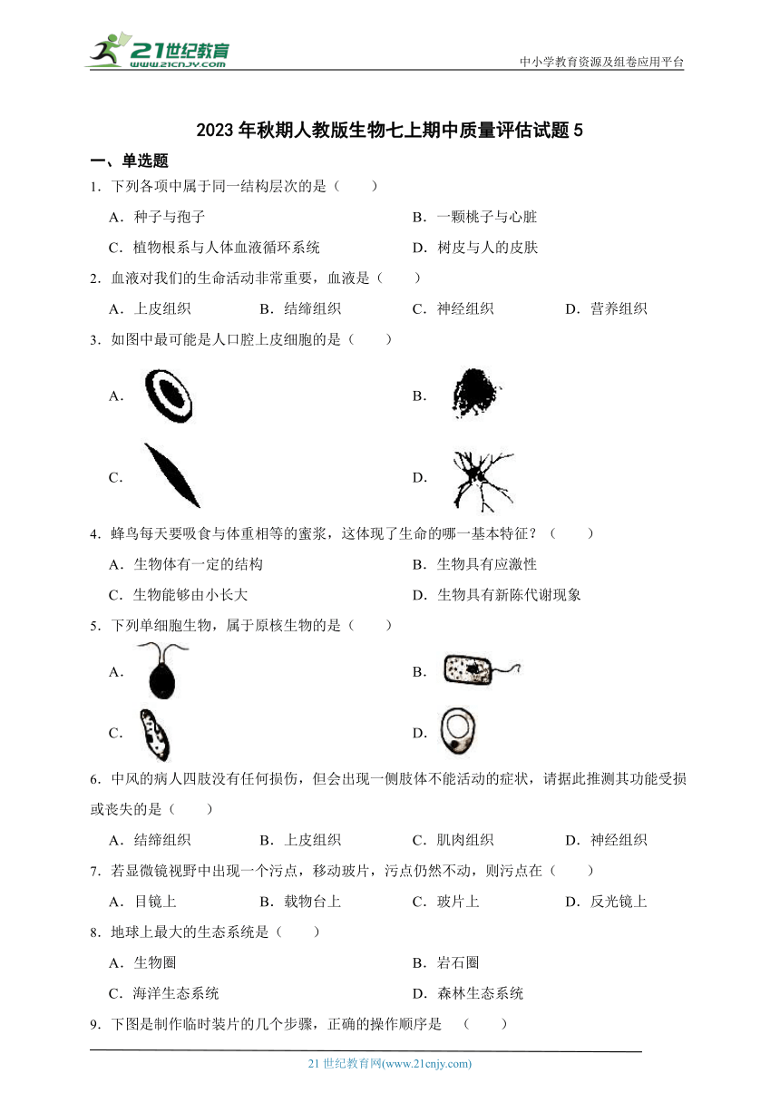 2023年秋期人教版生物七上期中质量评估试题5（含解析）