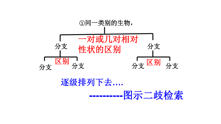 浙教版 初中科学 七上 2.4.3常见的动物