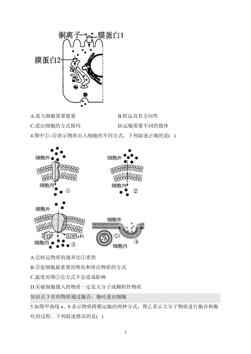 3.3物质通过多种方式出入细胞（含解析）——2023-2024学年高一生物学浙科版（2019）必修一课时分层练