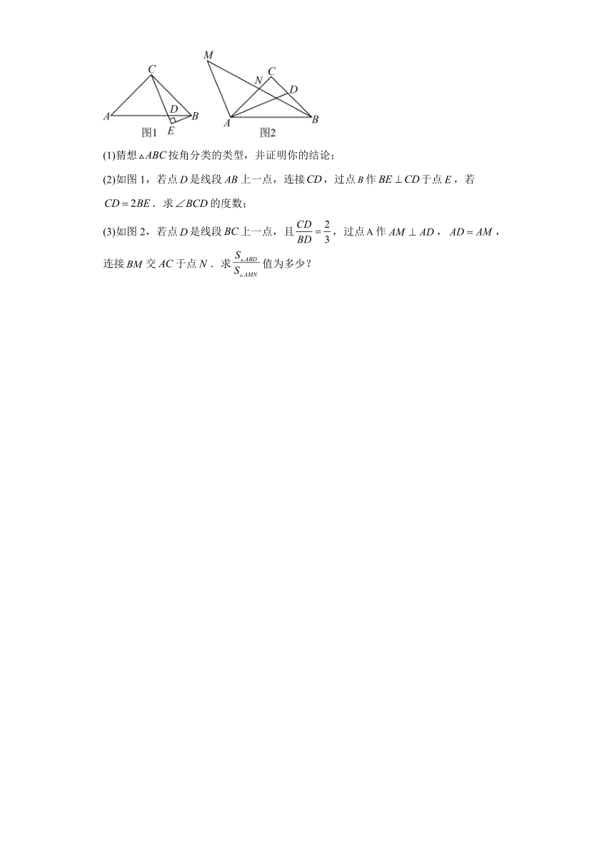2023—2024学年浙教版数学八年级上册周测五（2.3—2.5）（含答案）