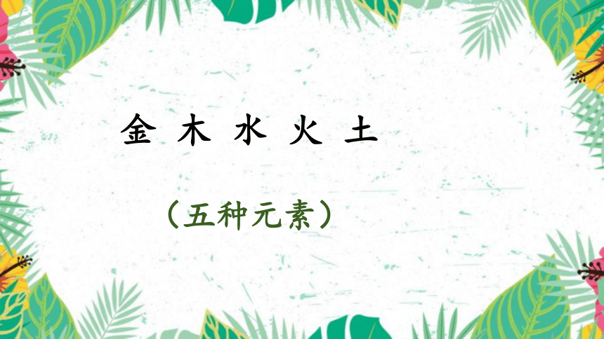 2金木水火土 课件(共20张PPT)