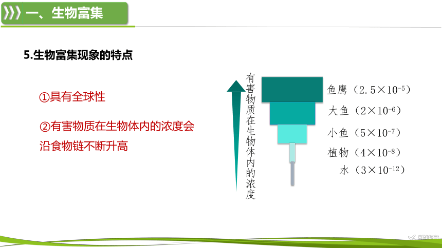 高中生物人教版（2019）选择性必修2课件：3.3.2 生物富集及探究土壤微生物的分解作用