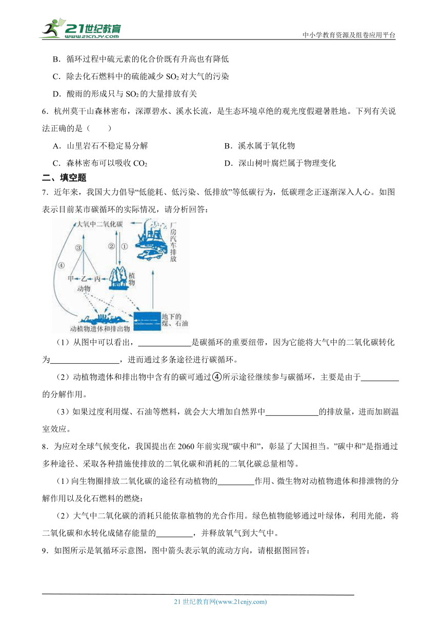 浙教版八下 3.7自然界中的氧循环和碳循环 随堂练习（含解析）