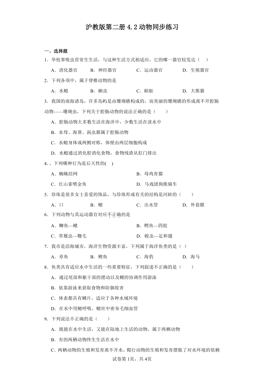 4.2动物同步练习（含答案）沪教版生命科学第二册