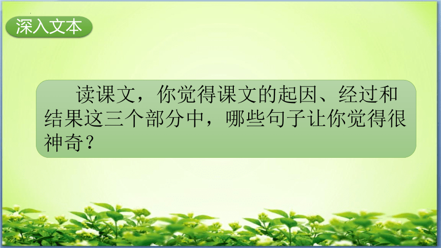 14 普罗米修斯    课件(共37张PPT)