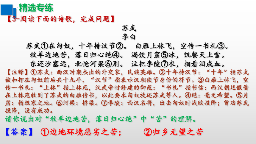 2024届高考语文一轮复习专项：诗歌鉴赏之词语含义专练课件(共28张PPT)