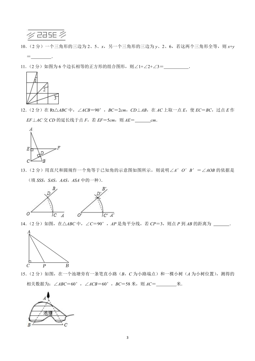 江苏省常州市新桥初级中学2023-2024学年上学期10月月考八年级数学试卷　(含答案)