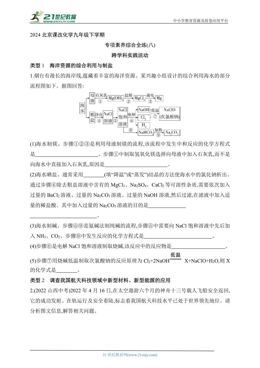 2024北京课改化学九年级下学期课时练--专项素养综合全练（八）   跨学科实践活动