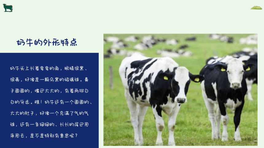社团课程小学延时服务 《青青草原上的奶牛》课件(共20张PPT)