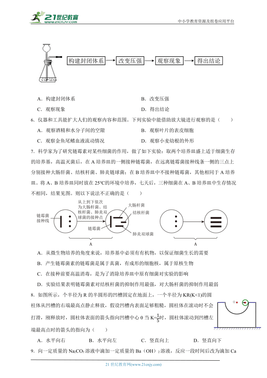 2024年中考科学第一轮复习：科学探究的环节与技能