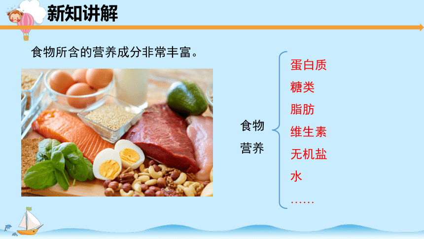 科学教科版四年级上册2.5《食物中的营养》课件（共20张PPT）