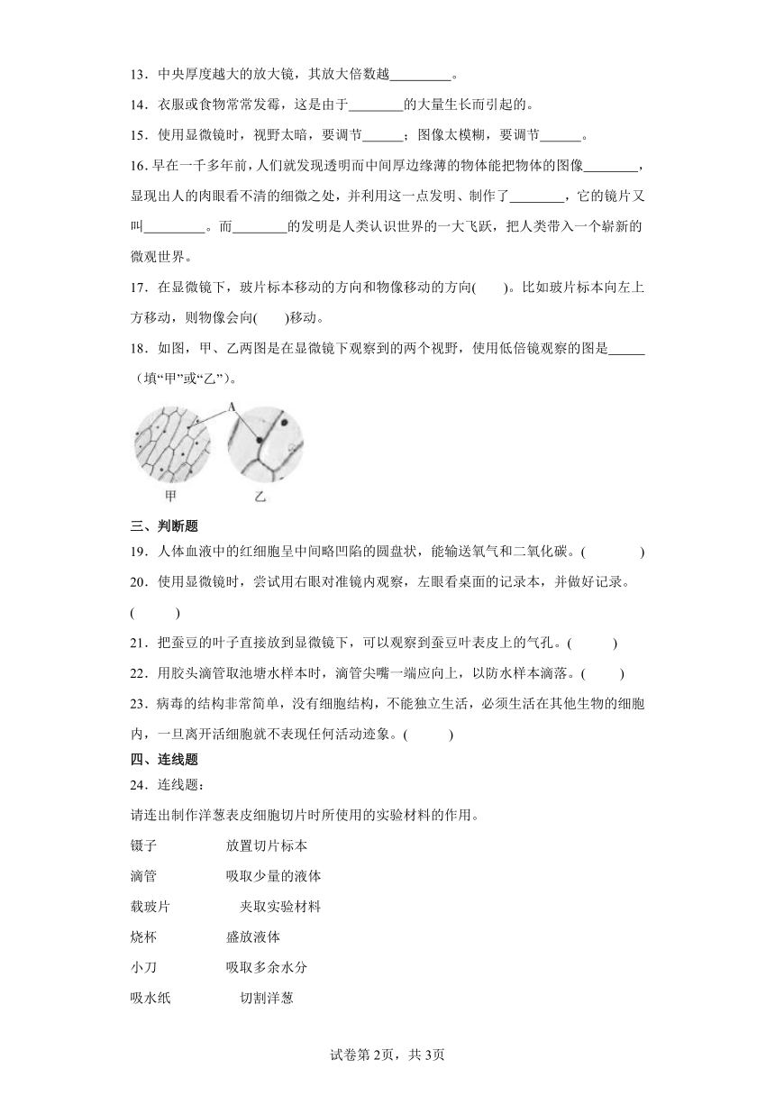 教科版六年级上册科学第一单元微小世界综合训练（含答案）