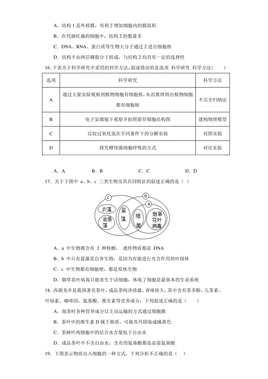 广东省深圳市光明区重点中学2023-2024学年高一上学期12月月考生物学试题（含答案解析）