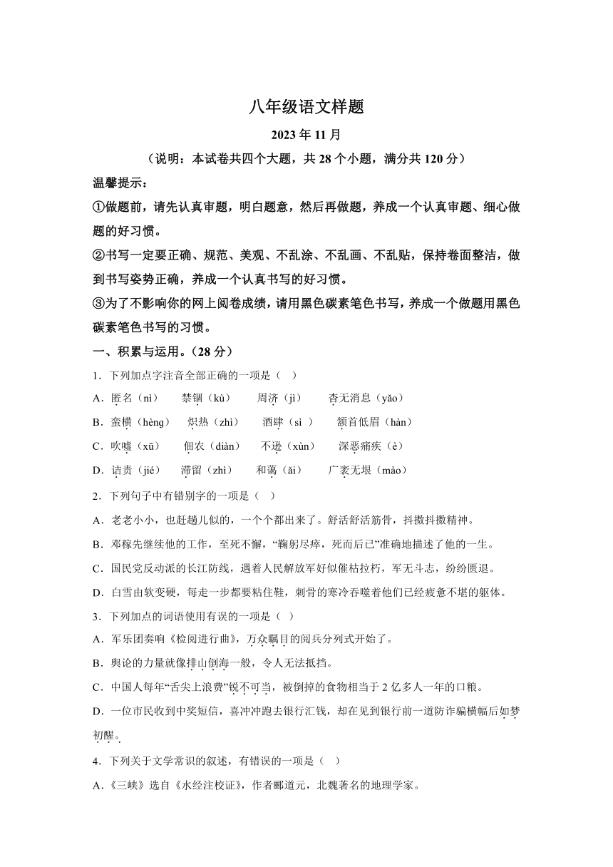 山东省菏泽市定陶区2023-2024学年八年级上学期期中语文试题（含解析）