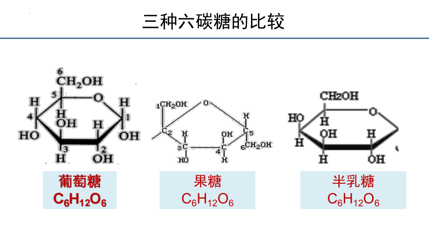 2.3细胞中的糖类和脂质课件(共28张PPT）2023-2024学年高一上学期生物人教版必修1